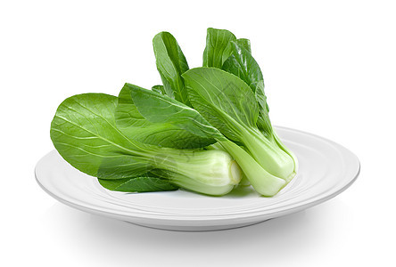 白底白盘中的Bok Choy蔬菜图片