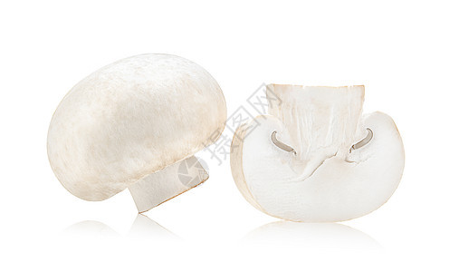 在白色背景下被孤立的蘑菇冠尼翁食物蔬菜茶点美食蘑菇图片