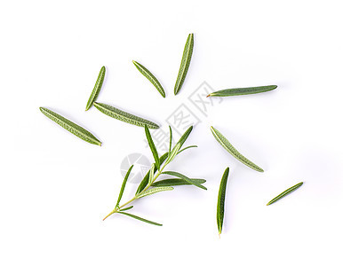 罗斯玛丽在白色背景上被孤立树叶草本植物食物绿色药品香味草药香料草本植物图片