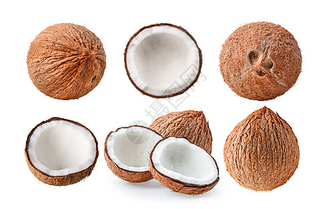 白色背景的椰子集牛奶棕榈水果棕色宏观绿色坚果收藏热带食物图片