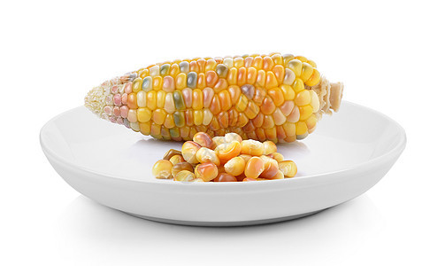 白色背景的玉米盘图片