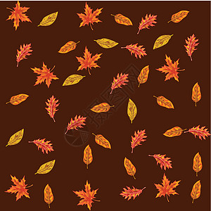 矢量无缝 带秋叶 棕色背景有不同的叶子 您设计时的秋季自然颜色 Name插图橡木植物群公园森林黄色季节性标本馆橙子山灰图片