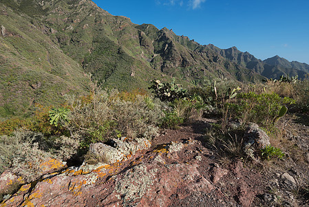 阿纳加山脉 特内里夫 加那利群岛的火山景观图片