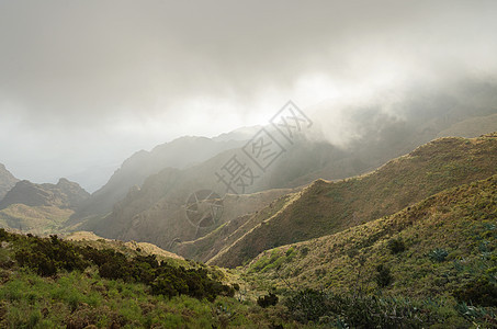 特纳里夫峡谷 特纳里夫 加那利群岛 西班牙的米斯蒂地貌小路风景高度爬坡自然公园火山远足悬崖森林图片