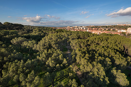 从的马德里市景空中观察市中心天际地标景观花园公园纪念碑天线首都建筑学图片