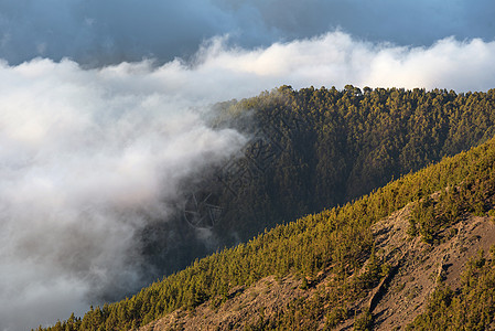 西班牙加那利群岛特纳里费的提德国家公园火山风景中的云海爬坡山脉顶峰树木陨石国家墙纸旅行热带环境图片