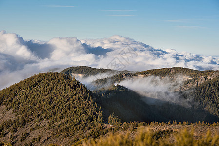 西班牙加那利群岛特纳里费的提德国家公园火山风景中的云海岩石远足墙纸山脉旅行天空热带陨石旅游松树图片