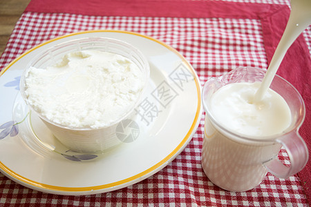 塑料铸模中的新鲜里氯塔奶酪牛奶产品奶油小屋乡村模具白色饮食叶子奶制品图片