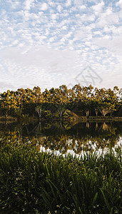 清晨在斯普林菲尔德湖的美丽湖反射公园池塘蓝色绿色场景图片