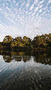 清晨在斯普林菲尔德湖的美丽湖场景池塘蓝色绿色反射公园图片