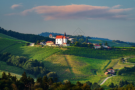 斯洛文尼亚Ritoznoj与小村庄的葡萄园教会阳光农业地标葡萄爬坡藤蔓环境建筑天空图片