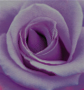 紫玫瑰点缀其制作图案矢量图片