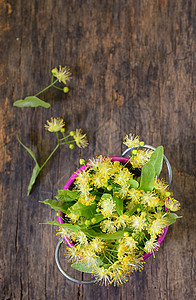 水桶里叶子树的花朵药品医疗叶子草药香气黄色植物花瓣图片