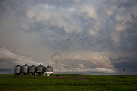 平原风暴云草原农场天空风景荒野哺乳动物天气雷雨国家戏剧性图片