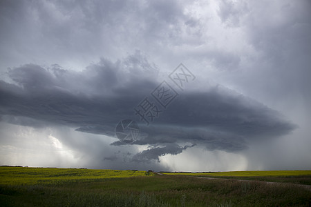 平原风暴云戏剧性天空草原国家大草原农场风景天气雷雨荒野图片