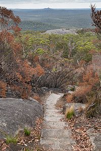 西澳大利亚 西澳大利亚州 法兰克兰山国家公园环境远足栖息地假期森林植物生物风景植物群全景图片