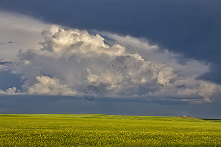 平原风暴云风暴雷雨天气天空戏剧性草原场景荒野气候危险背景图片