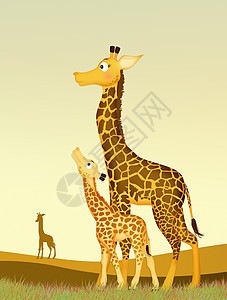 婴儿长颈鹿荒野动物园家庭哺乳动物大草原动物卡通片插图斑点图片