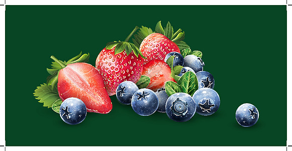 蓝莓和草莓插图甜点徽章果汁广告标签包装食物生态餐厅图片