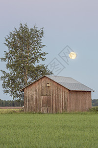 农场的仓库 树边有满月月亮建筑天空绿色场地阴霾树木谷仓桦木农田图片