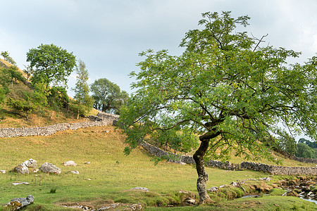 约克郡戴尔市Malham Cove附近乡村的景象地质学旅游海湾公园场地石头岩石石灰石王国国家图片