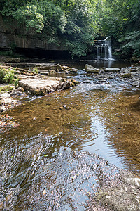 在西伯顿的卡尔德龙部队之景 约克郡戴尔斯纳特水景石头峡谷山谷运动阳光树叶农村溪流公园图片