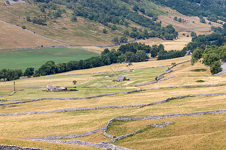 YORKSHIRE/UK - JULY 27 Coniston附近农场的景象图片