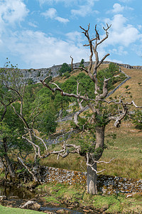 约克郡戴尔市Malham Cove附近乡村的景象海湾公园山谷吸引力英语石头岩石风景王国旅游图片