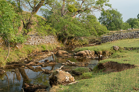 约克郡戴尔市Malham Cove附近乡村的景象吸引力公园场地树木山谷风景农村国家石头地质学图片