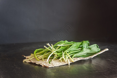 新鲜的朗森野大蒜 绿芽 在一袋勃朗普上食物植物群蔬菜绳索荒野芳香沙拉植物香菜生长图片