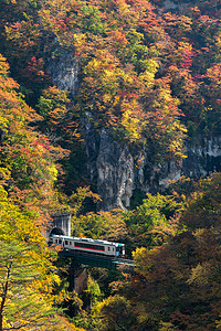 日本宫城东北有铁道隧道的峡谷铁路鸣子悬崖木头季节叶子植物游客溪流岩石图片