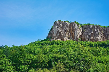 保加利亚山丘地区爬坡植物群高地森林生态绿色植物多云岩石山坡山脉图片