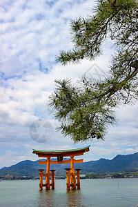 岛神社的漂浮托里门神道世界地标寺庙红色牌坊宗教历史性旅行图片