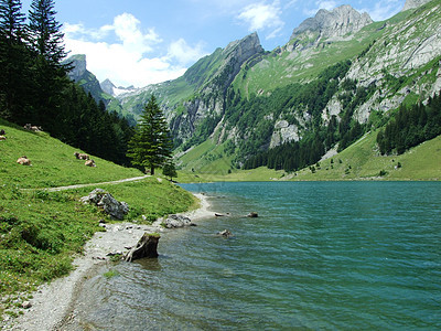 瑞士高山湖反射岩石旅行天空绿色蓝色风景森林公园图片