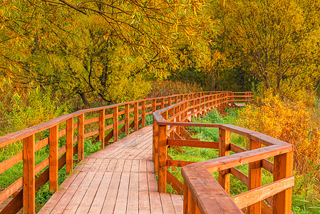 木桥和秋天空空公园的足迹图片