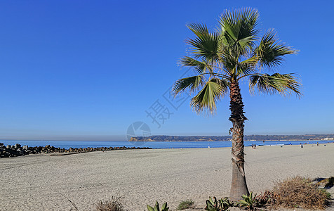 加州圣地亚哥郊外的科罗纳多海滩海景风景海岸线水平天空冲浪孤独太阳阳光日落图片