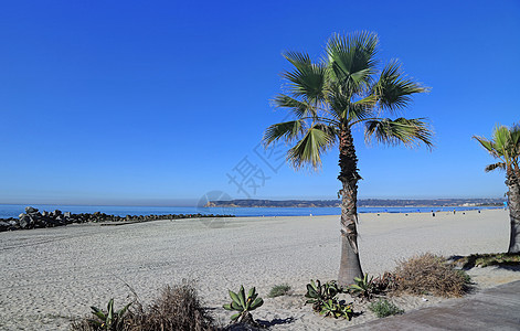 加州圣地亚哥郊外的科罗纳多海滩海景旅行风景太阳海岸线冲浪水平天空摄影阳光背景图片