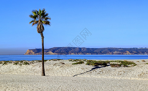 加州圣地亚哥郊外的科罗纳多海滩摄影冲浪海景阳光旅行天空日落太阳海岸线风景图片