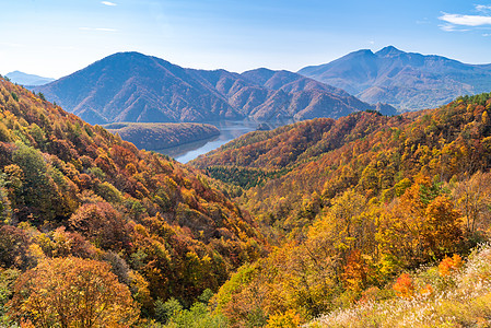 从观点 Azuma 湖林的峡谷季节溪流流动旅游游客绿色红色旅行树叶叶子图片