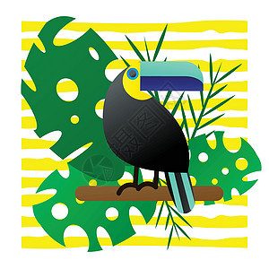 一只明亮的热带鸟图卡的矢量图解旅行动物生物学海报卡片问候语丛林风格橙子打印背景图片