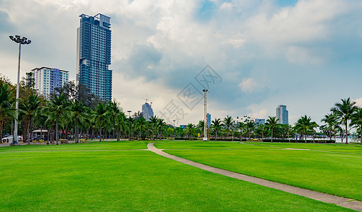 绿色草地 人行道路和海边市公园椰子树 三 现代建筑背景情况景观蓝色小路公寓住宅财产人行道天空摩天大楼民众图片