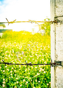 生锈的旧栅栏铁丝网与模糊的花田上的混凝土杆作为背景与耀斑光 绿草地图片