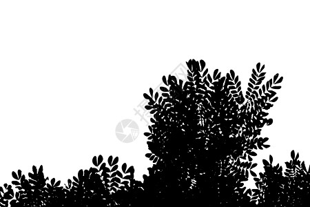 树的黑白照片在清楚的白色天空的 用于死亡哀悼和悲伤概念图片