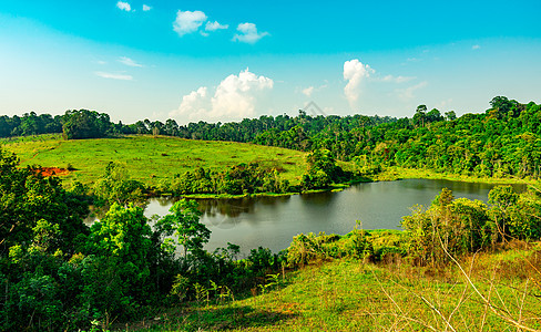 野生动物的池塘和绿草场 以及热带森林茂密树木附近山上的乡村道路 拥有美丽的蓝天和积云图片