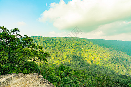 泰国考艾国家公园悬崖热带雨林的美丽景色 世界遗产 山上绿色茂密的高大树木和蓝天和积云场景岩石环境绿色植物蓝色公园风景生态天空旅行图片
