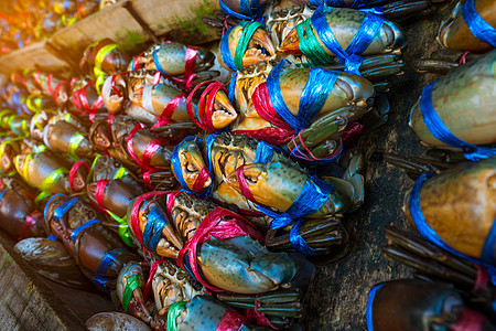 青蟹 泰国海鲜市场 鲜活的螃蟹用彩色塑料绳绑成一排整齐 带有耀斑灯的海鲜餐厅概念的原料销售食物热带红树生活甲壳渔业海洋动物居住图片