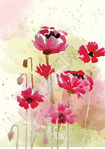 水彩风格的美丽手绘花卉背景打印水性植物学卡片墨水花框植物艺术花瓣植被图片