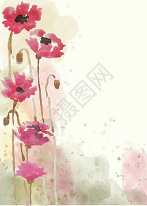 水彩风格的美丽手绘花卉背景花瓣打印植物花框树叶卡片水彩花水性植被墨水图片