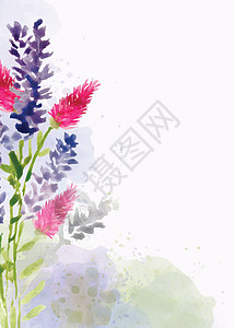 水彩风格的美丽手绘花卉背景植物墨水花瓣水彩花打印植物学艺术树叶水性花框图片