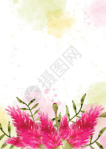 水彩风格的美丽手绘花卉背景植物学艺术花瓣树叶花框植物植被卡片打印水彩花图片